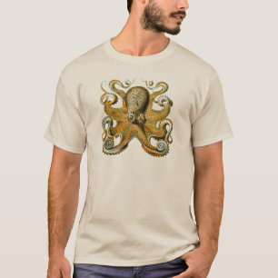 T-shirt Le poulpe d'Ernst Haeckel