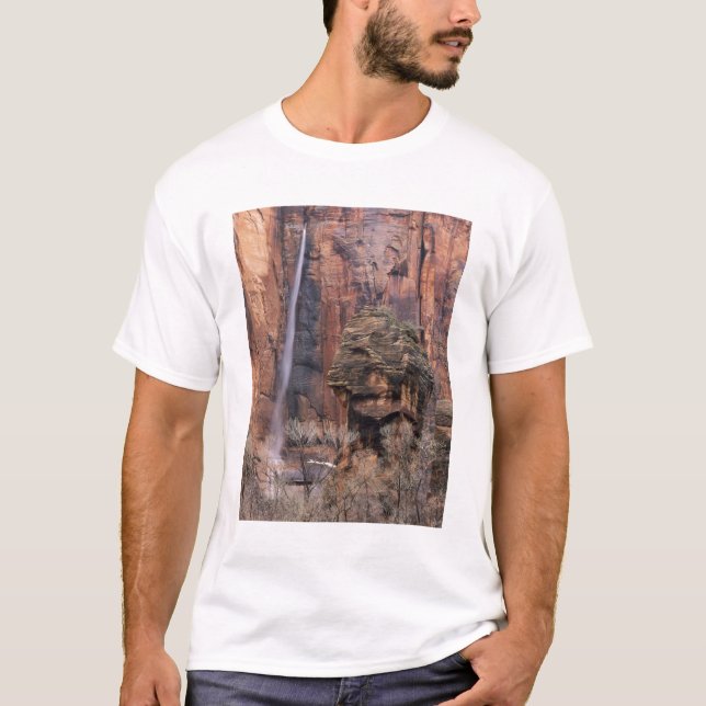 T-shirt Le Pulpit et la cascade éphémère (Devant)