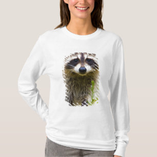 T-shirt Le raton laveur, Procyon lotor