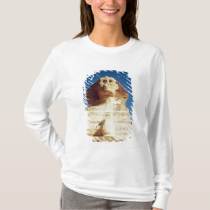 T-shirt Le sphinx, datant du règne du roi