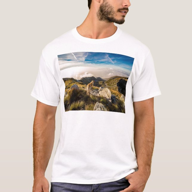 T-shirt Le voyage (Devant)