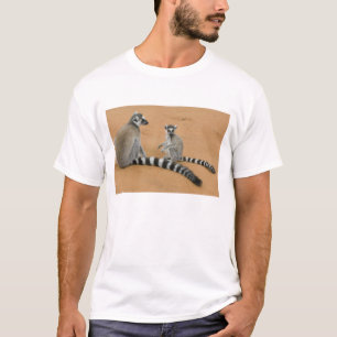 T-shirt Lémuriens à queue annelée, (Lemur catta), Berenty
