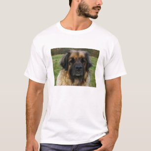 T-shirt leonberger