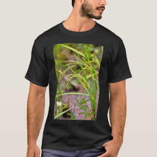 T-shirt L'épi de riz en développement, un symbole de ferti