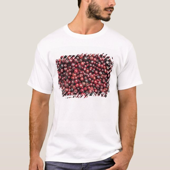 T-shirt Les baies rouges de l'Himalaya (Devant)