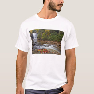 T-shirt Les chutes de Looking Glass dans le Pisgah Nationa