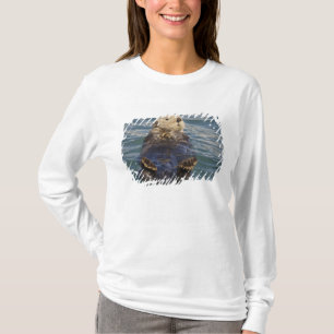 T-shirt Les loutres de mer jouent sur les icebergs à Surpr