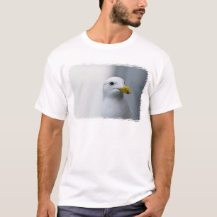 T-shirt Les mouettes ont aussi besoin d'amour