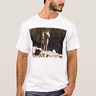 T-shirt Les mouflons d'Amérique enfoncent près des roches