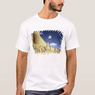 T-shirt Les murs de ville