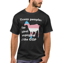Les transgenres Le dernier bouc émissaire du GOP