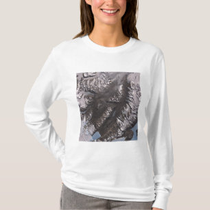 T-shirt Les vallées sèches de McMurdo