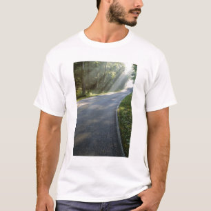 T-shirt Lever de soleil à travers le brouillard le long de
