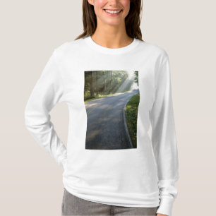 T-shirt Lever de soleil à travers le brouillard le long de