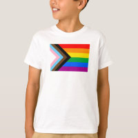 LGBTQ+ Indicateur de fierté de progrès