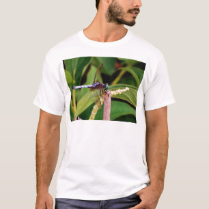 T-shirt libellule avec fleurs blanches