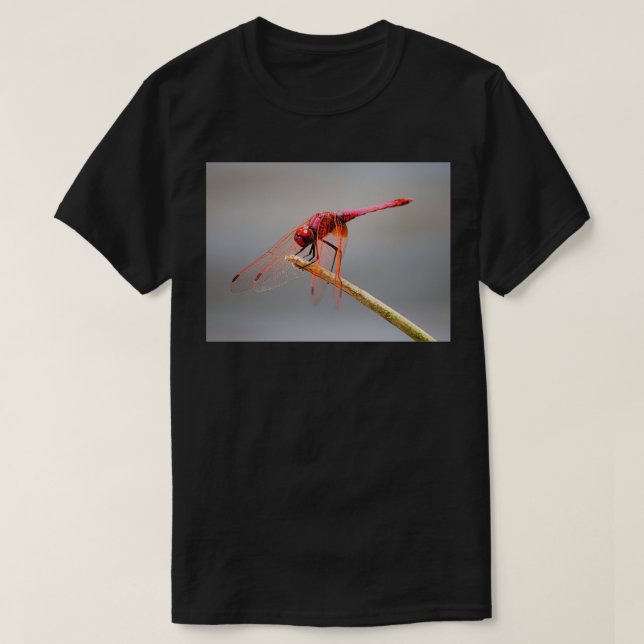 T-shirt libellule rouge 5 (Design devant)