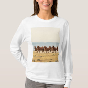 T-shirt Liberté sauvage : Les chevaux en mouvement