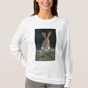 T-shirt Lièvre à queue noire, Lepus californicus, 2