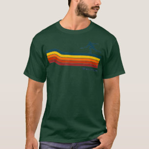 T-shirt Lignes de couleur rétro Frisbee