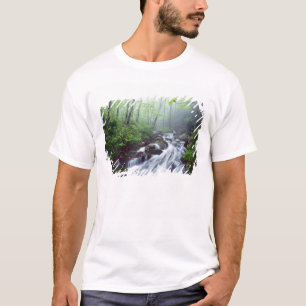 T-shirt Linn Cove Creek en cascade à travers la brume