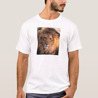 T-shirt Lion