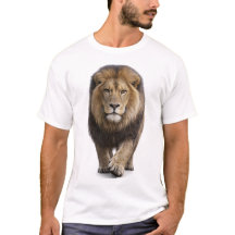 Lion Approchant