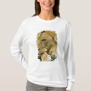 T-shirt Lion d'Afrique, Panthera leo, allongé endormi