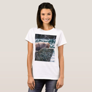 T-shirt Lion De Mer Dans La Baie De Résurrection, Alaska