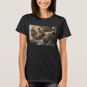 T-shirt Lions