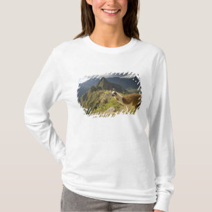 T-shirt Llamas et vue sur Machu Picchu,