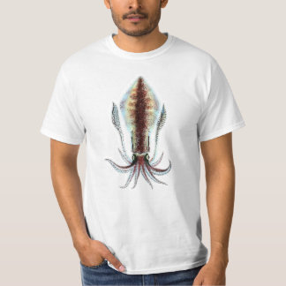 T-shirt Loligo vulgaris