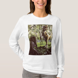 T-shirt Longue douille de dames