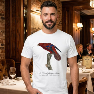 T-shirt Lori à queue brune, Trichoglossus borneus