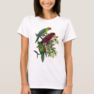 T-shirt Lories et lorikeets