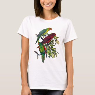 T-shirt Lories et lorikeets