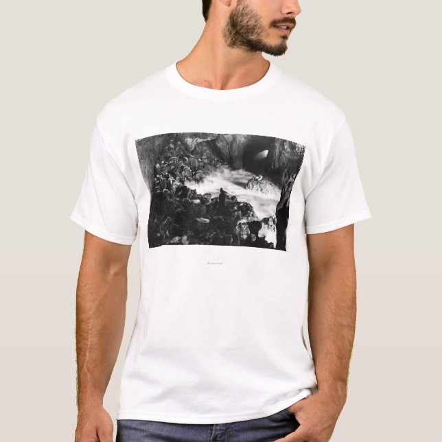 T-shirt L'otarie de côte de l'Orégon foudroie la vue (Devant)