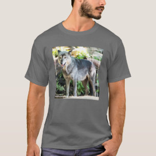 T-shirt Loup gris seul se tenant