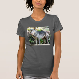T-shirt Loup gris seul se tenant