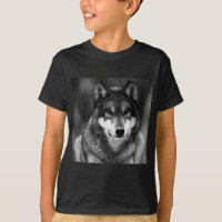 Loup noir et blanc