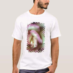 T-shirt <Love is a Rose> par Nathan Griffith