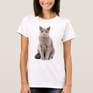 T-shirt Lovely Gray Cat with Golden Eyes 
