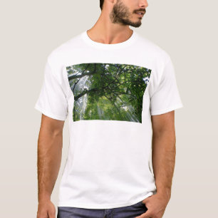 T-shirt Lumière Solaire À Travers Les Arbres