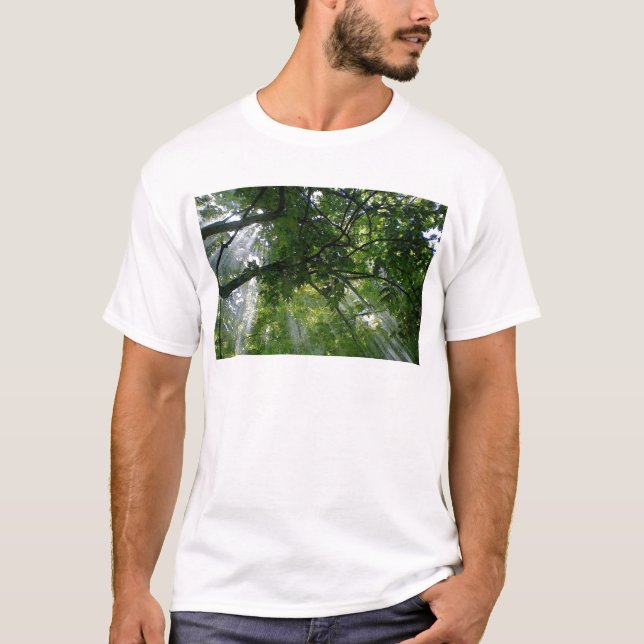 T-shirt Lumière Solaire À Travers Les Arbres (Devant)