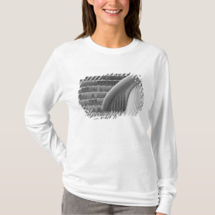 T-shirt Luxembourg, ville de Luxembourg, plateau du Kirchb
