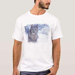T-shirt Lynx dans la neige au pied des collines