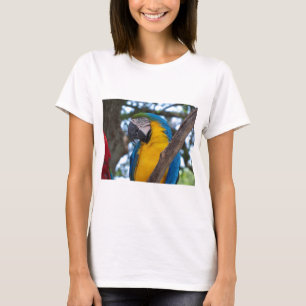 T-shirt Macao tropical jaune vert et bleu