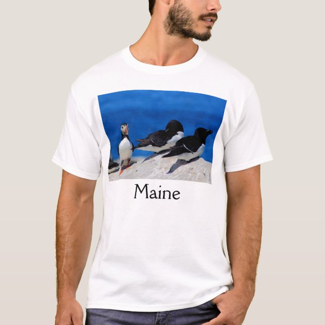 T-shirt Macareux atlantique et petits pingouins du Maine (Devant)