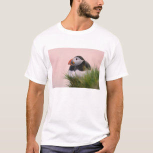 T-shirt Macareux atlantique (Fratercula arctica)