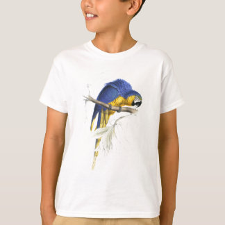 T-shirt Maccaw bleu et jaune par Edward Lear